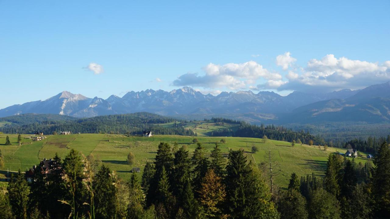 Dom Z Widokiem Na Wierchy - Panorama Na Tatry - Traditional Folk House Гличарув Экстерьер фото